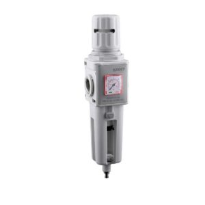 Filtre régulateur - Aignep